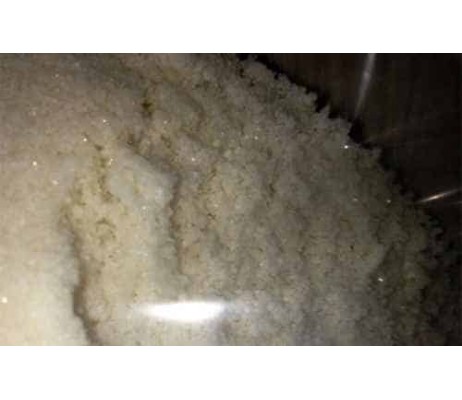 Dimethylphenidate