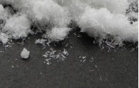 25B-NBOMe, 25C-NBOMe, 25I-NBOMe